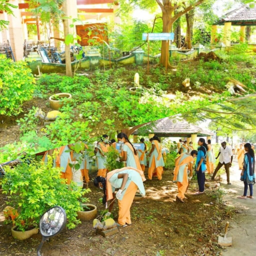 Students of PKR Arts College for Women engaged in a green campus initiative, cleaning the surroundings and planting saplings to promote environmental sustainability.